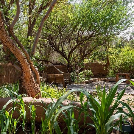 Pensjonat Vientos - La Yareta San Pedro De Atacama Zewnętrze zdjęcie