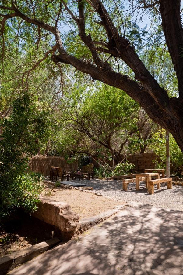 Pensjonat Vientos - La Yareta San Pedro De Atacama Zewnętrze zdjęcie
