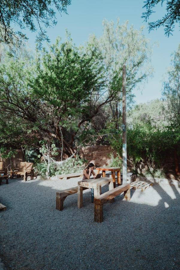 Pensjonat Vientos - La Yareta San Pedro De Atacama Zewnętrze zdjęcie